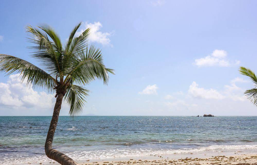 The Plaza Suites Humacao Exteriör bild